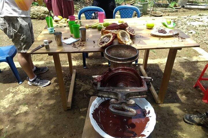 Cacao Tour de Medellín