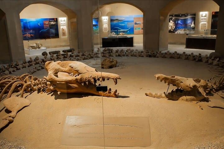 Private Tour Whales Valley And Wadi El Rayan Waterfalls In El Fayoum From Cairo