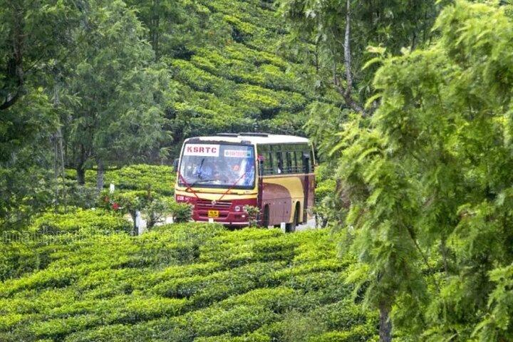 Munnar 1-dages udflugt til Tea Gardens, gratis afhentning og afhentning.