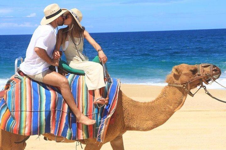 Cabo San Lucas côte à côte et aventure à dos de chameau