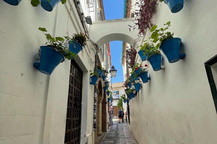 Tour semi privato a Cordova da Nerja