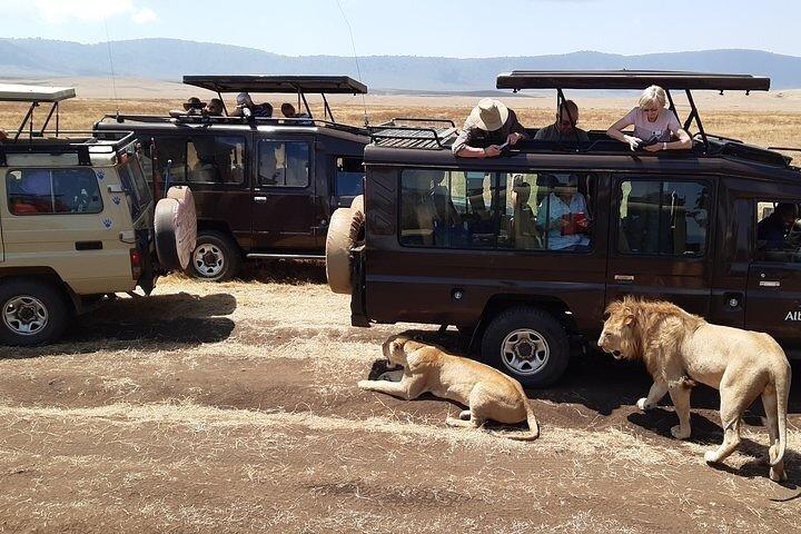 2 - Safari Privado de Lujo de Día : Cráter Ngorongoro & Caminata por el Kilimanjaro