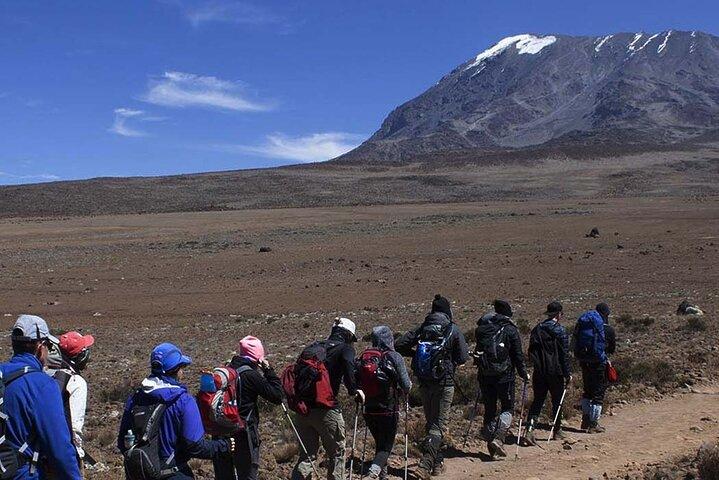 Mount Kilimanjaro 5-dages Marangu-rute (ældste, nemmeste og veletablerede)