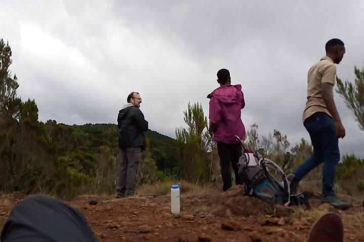 Mount Kilimanjaro 5-dages Marangu-rute (ældste, nemmeste og veletablerede)
