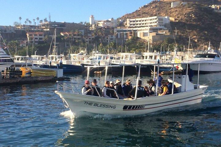 Cabo San Lucas Whale Watching : Ascolta le balene come le vedi