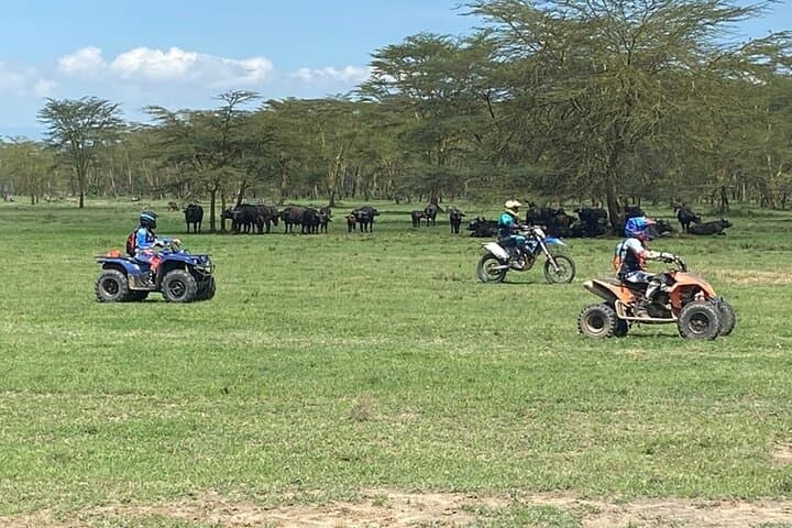 4 days incredible wildlife off-road motorbike tour in Soysambu Conservancy