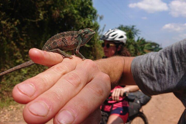 Visite guidée à vélo de 7 heures aux cascades de Sezibwa
