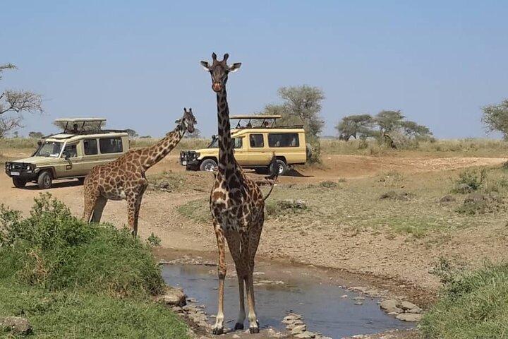 Safari privé de plusieurs jours en Tanzanie