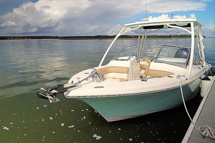 Crociera privata di 2 ore con Hilton Head Dolphin Watching