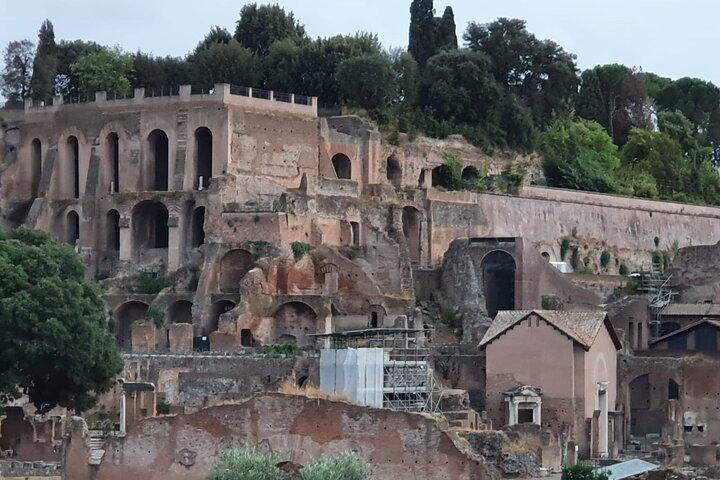Privat fordybende Colosseum-tur