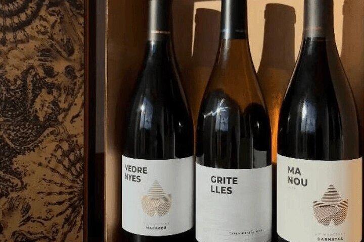 Visite de dégustation de vins du Priorat au départ de Salou avec prise en charge à l'hôtel