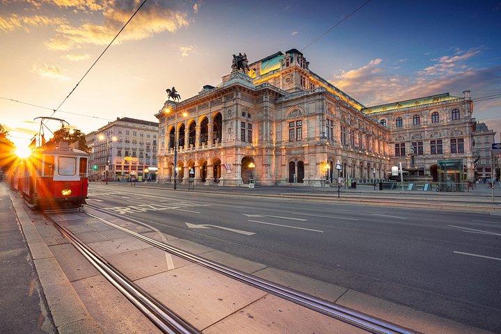 Wien vinsmagningstur med privat vinekspert