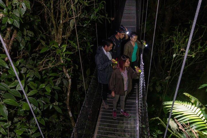 Hanging Bridges Twilight Walk i Arenal-vulkanen