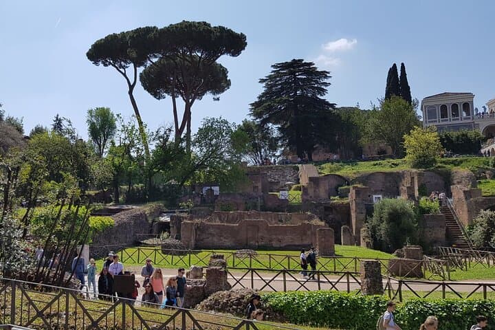 Colosseum Arena Floor Roman Forum and Palatine Hill Tour
