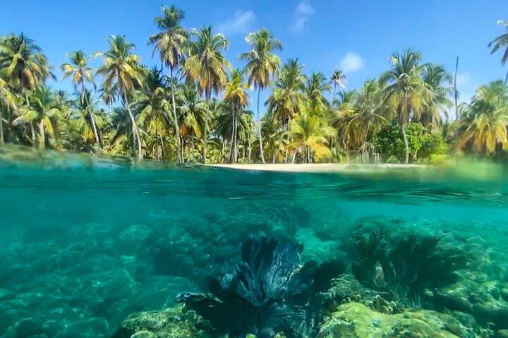 2 DAGER 2 NÆTTER All-Inclusive San Blas Islands på sejlbåd