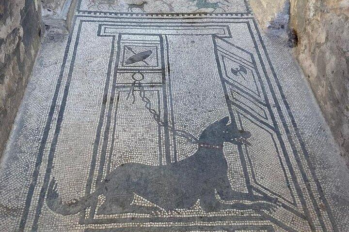 Exclusive Half-Day Tour in Pompeii with skip the line tickets