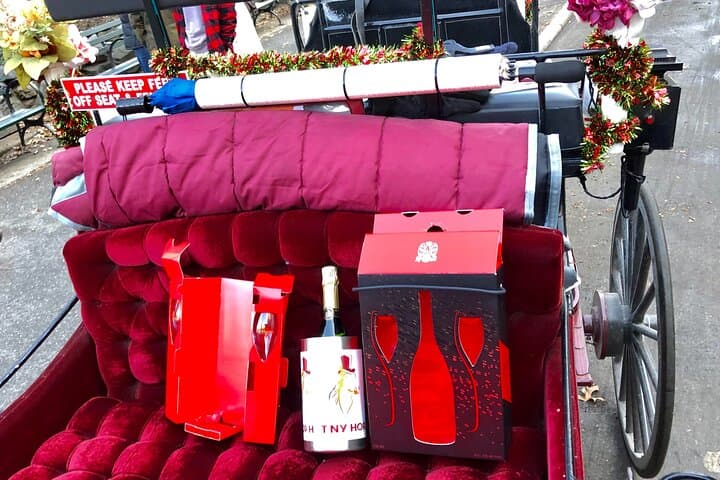VIP Central Park Champagne Tour with Photos(50 min)~Skip the line
