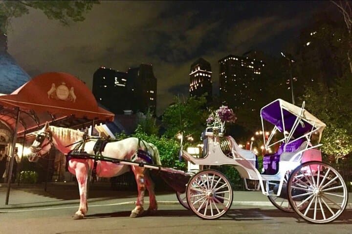Official Private NYC Central Park Horse Carriage Ride Since 1970™