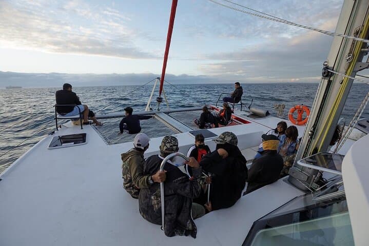 Catamaran Sunset Champagne Cruise Cape Town