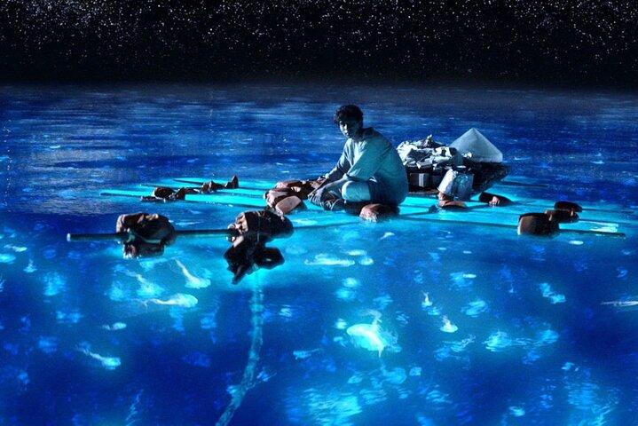 Holbox Bioluminescence: Night Kayak & Stargazing Eco Tour