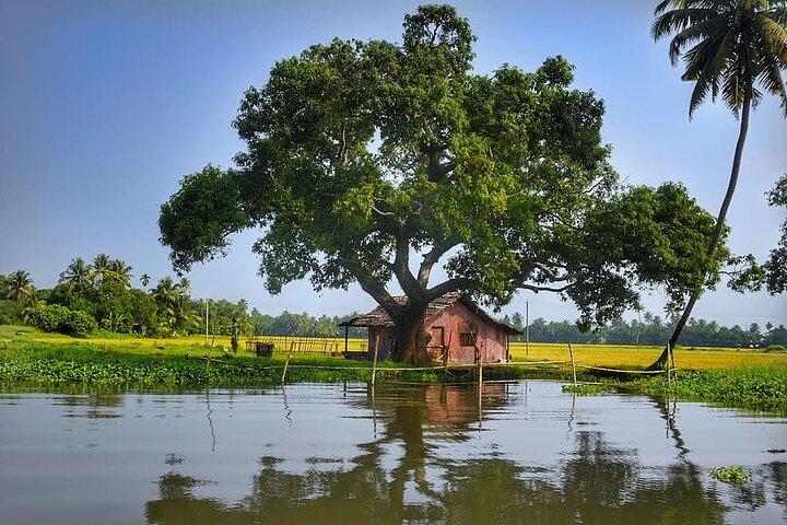Kerala Backwater Tour met Cochin en Thekaddy