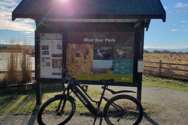 Mud Bay Park Cykeludlejning