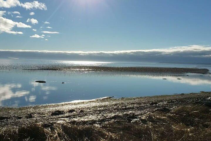 Mud Bay Park Cykeludlejning