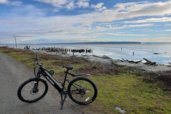 Mud Bay Park Cykeludlejning