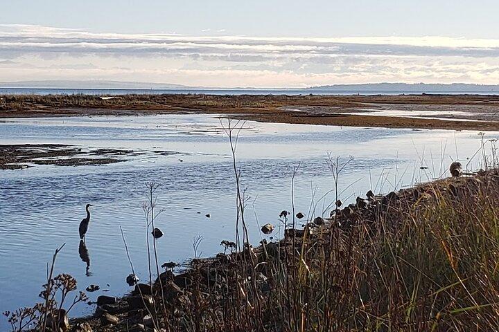 Mud Bay Park Cykeludlejning
