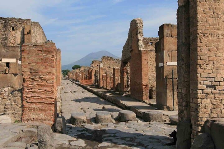 Pompeii & Herculaneum Day Trip from Naples with Lunch