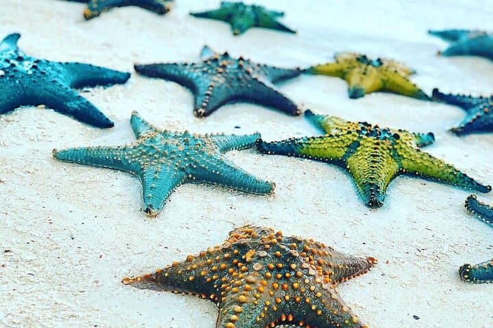Starfish Adventure; Blue Lagoon; The Rock; Kuza Cave, Salaam Cave