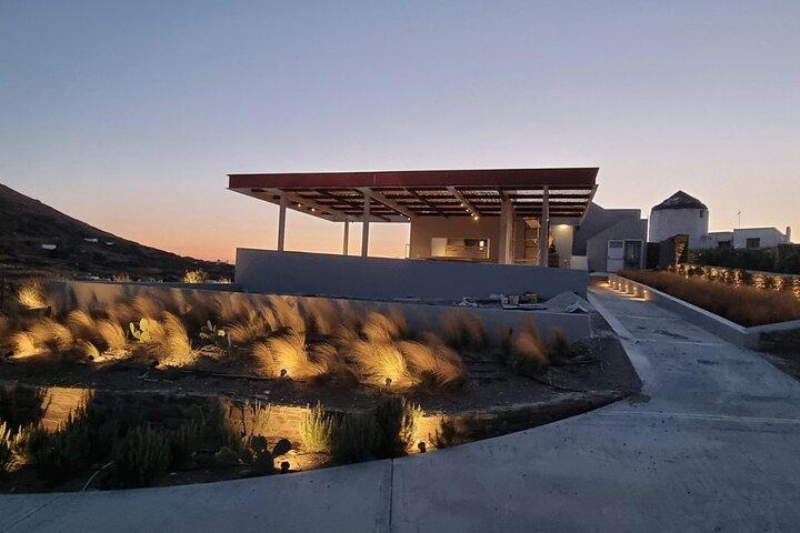 Wijnproeverij in Tinos : Terrastour met zeezicht & Sommelier Gids