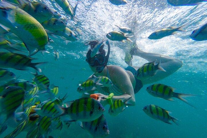 De Khao Lak : Excursion d'une journée d'aventure aux îles Phi Phi avec déjeuner