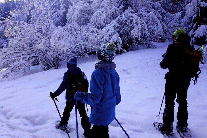 Ruta Guiada con Raquetas de Nieve en el Parque Nacional en pirineos