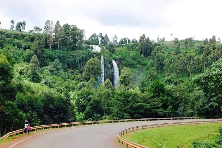 Tour dei gorilla dell'Uganda di 3 giorni: foresta impenetrabile di Bwindi