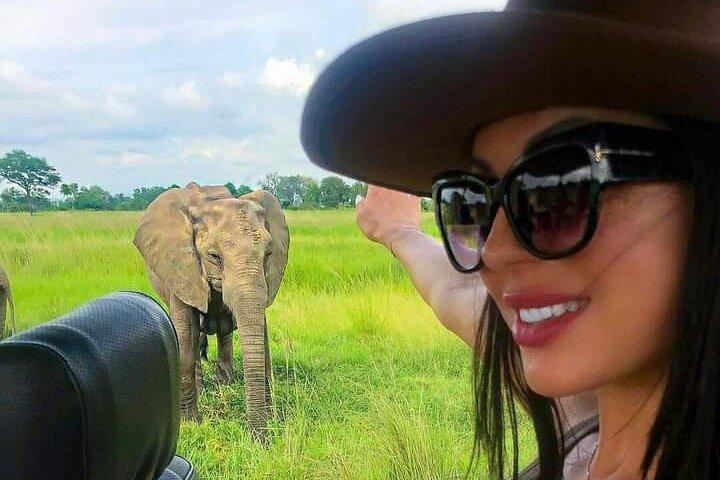 5 dagars Wildlife Midrange Safari till Tarangire, Serengeti, Ngorongoro och Manyara