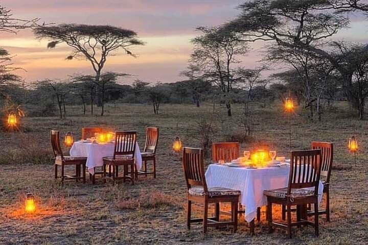 5 dagars Wildlife Midrange Safari till Tarangire, Serengeti, Ngorongoro och Manyara