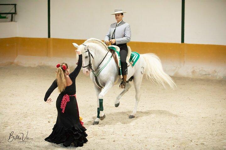Show de Cavalos Andaluzes e Flamenco com transporte