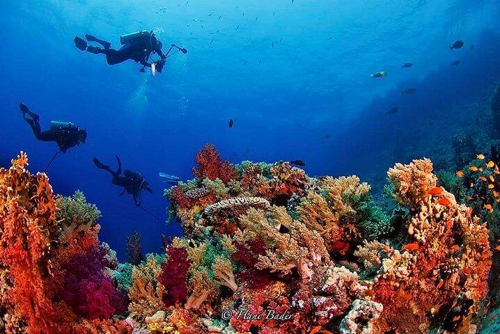 Snorkeling a Ras Mohamed a Sharm El Sheikh