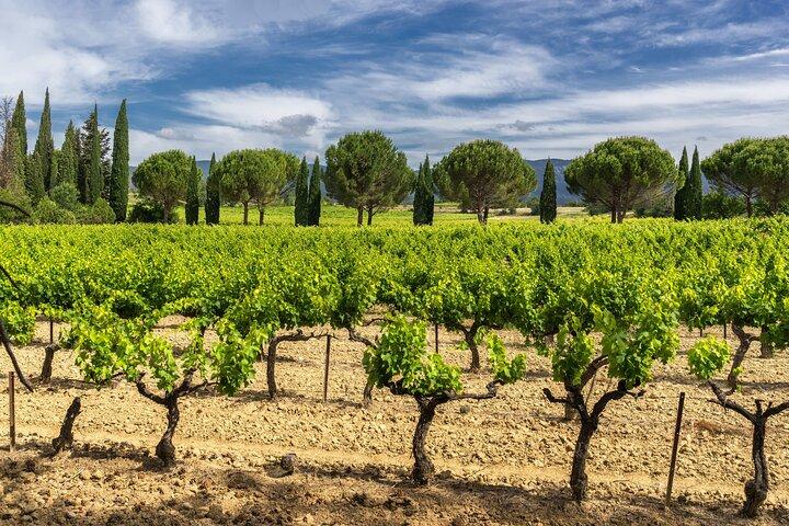 Provence-dagstur med Cassis Village-bådtur og lokal vinsmagning fra Aix