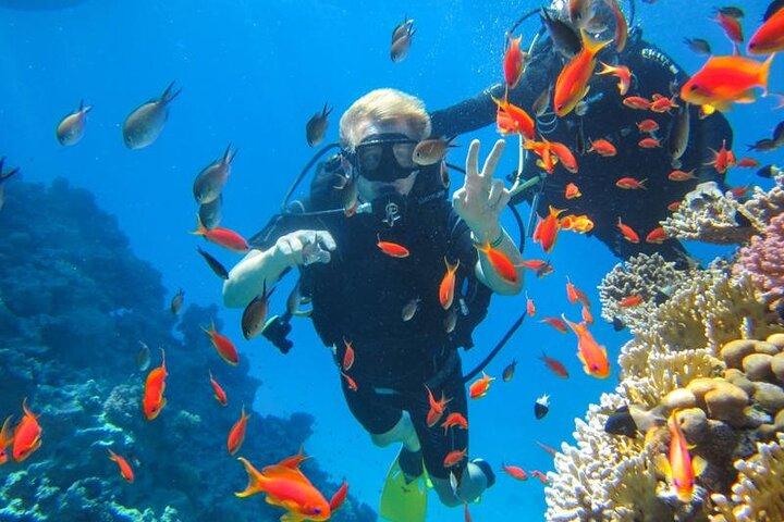 Snorkling på Ras Mohamed i Sharm El Sheikh