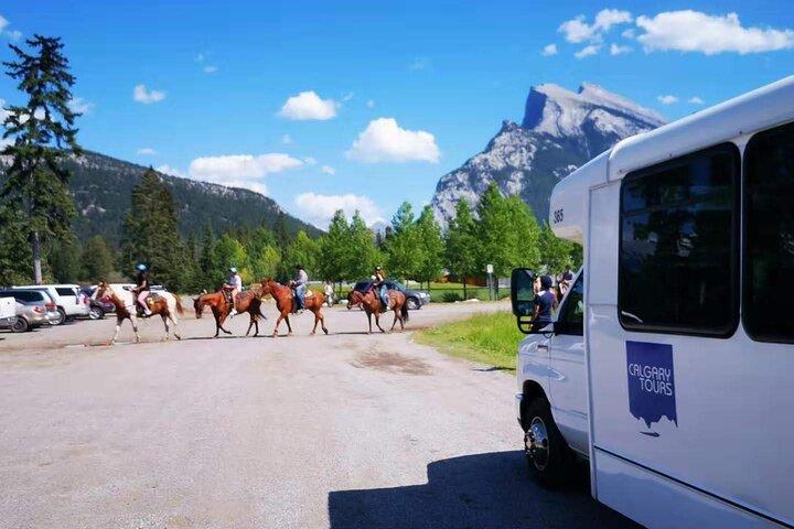 Privat transport Calgary, Banff, Drumheller