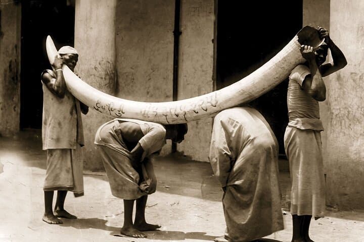 Zanzibar Slave Routes Tour: The Original Walking Tour