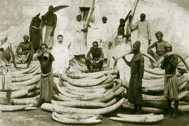 Zanzibar Slave Routes Tour: The Original Walking Tour