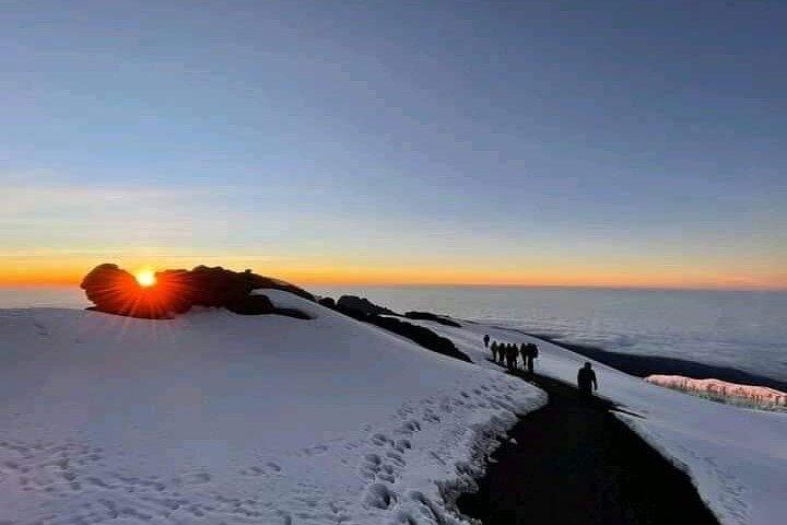 Tour privado de 8 días Ruta Lemosho Ascenso al Kilimanjaro en Tanzania.