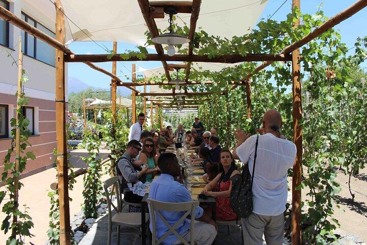Excursão de degustação de vinhos em Pompeia saindo de Positano