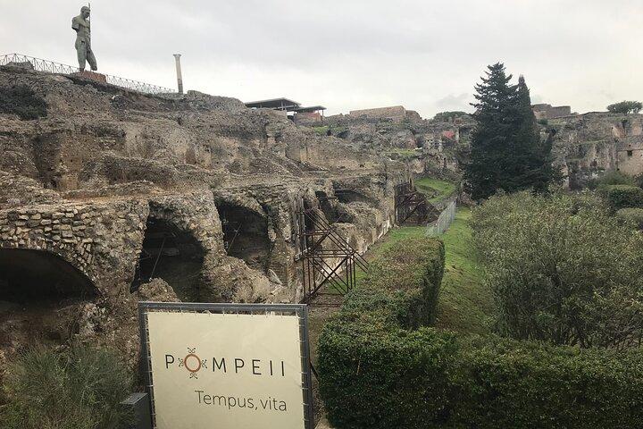 Excursão de degustação de vinhos em Pompeia saindo de Positano