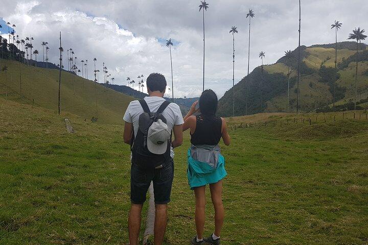 Cocora, Salento og Filandia (Andernes datter) Vandretur i Quindio