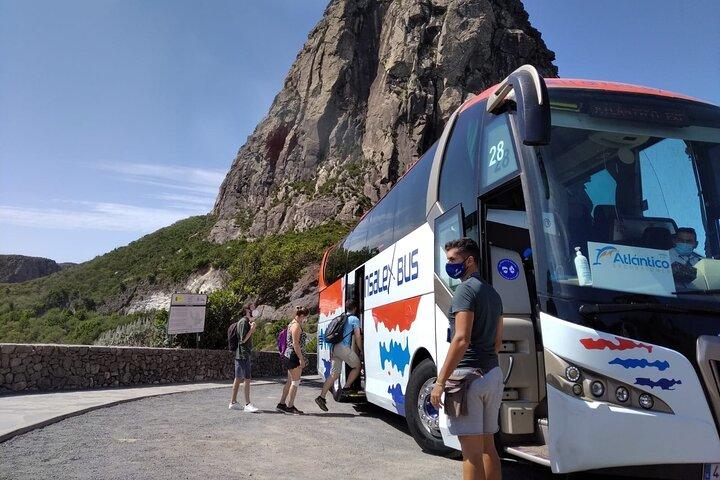 Excursion d'une journée à La Gomera au départ de Tenerife avec déjeuner.