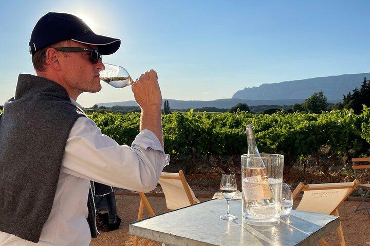Private Full Day Vin Tour i Provence